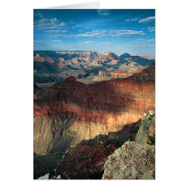 Afternoon Shadows (Front)