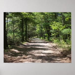 Afternoon Shadows Poster