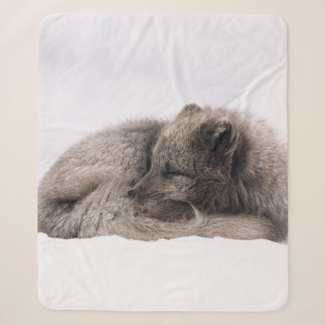 AFTERNOON SIESTA SHERPA BLANKET (Front)