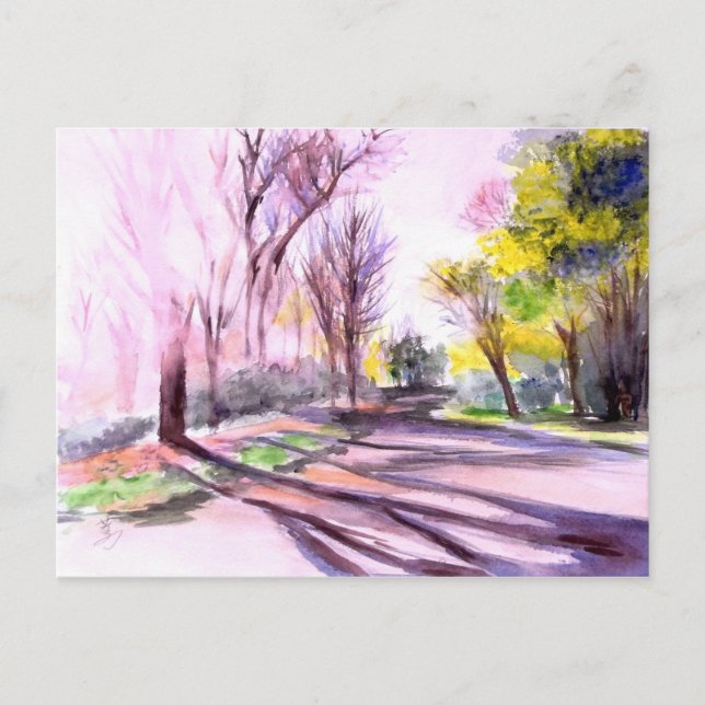 AFTERNOON SUN ON A ROAD, Ann Arbor, MI Postcard (Front)