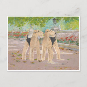 Afternoon Walk Postcard