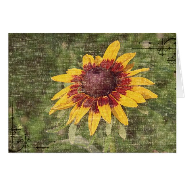 Again a Flower (Front Horizontal)