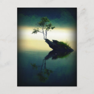 Against All Odds - Beautiful Tree Photograph Postcard