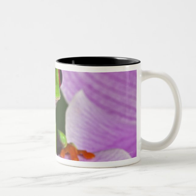 Agalychnis callidryas Two-Tone coffee mug (Right)
