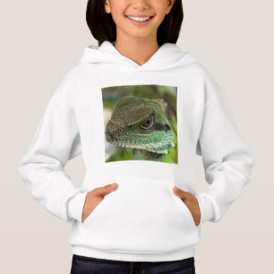 Agama, lizard