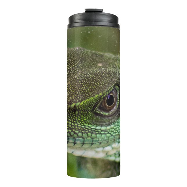 Agama, lizard thermal tumbler (Front)