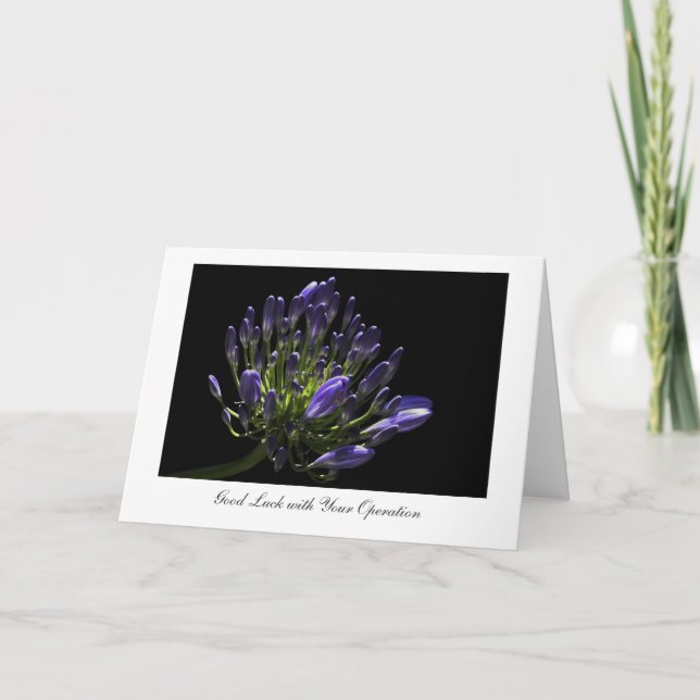Agapanthus, African Lily, Good Luck with Operation Card (Front)
