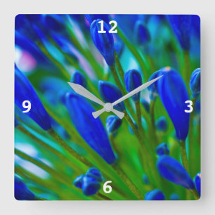 Agapanthus blue flower Acrylic wall clock