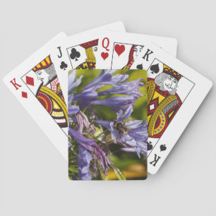 Agapanthus flower and bee playing cards