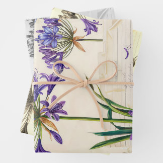 Agapanthus flower Ephemera Collage Art Wrapping Paper Sheet