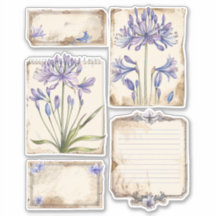 Agapanthus flower Fussy Cut Ephemera
