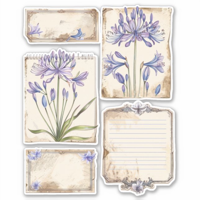 Agapanthus flower Fussy Cut Ephemera (Front)