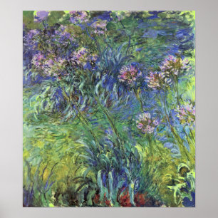 Agapanthus Flowers by Claude Monet Poster