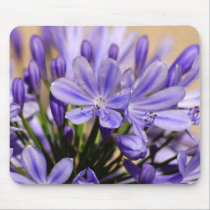 Agapanthus Mouse Mat