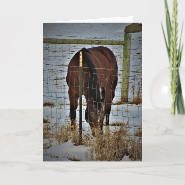 "Agape Acres" Birthday Card (Front)