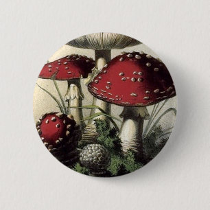Agaricus Muscarius Mushroom 6 Cm Round Badge