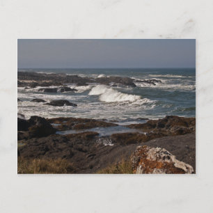 Agate Cove, Oregon Postcard
