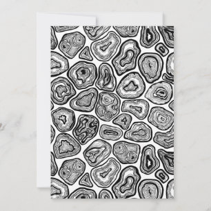 Agate slices in black and white