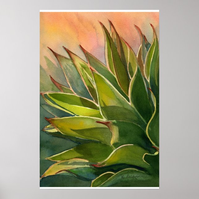 Agave attenuata poster (Front)