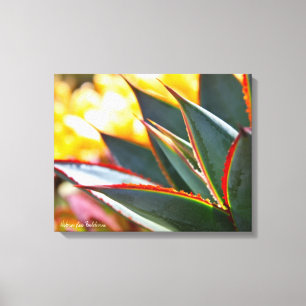 Agave Blue Glow succulent photo Debra Lee Baldwin Canvas Print