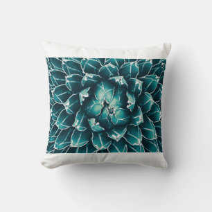 agave cactus, abstract nature background, top vi cushion