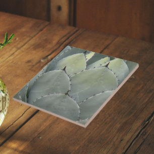 Agave Cactus Plant Southwestern Style Tile