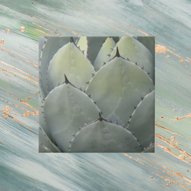 Agave Cactus Plant Southwestern Style Tile (In Situ)