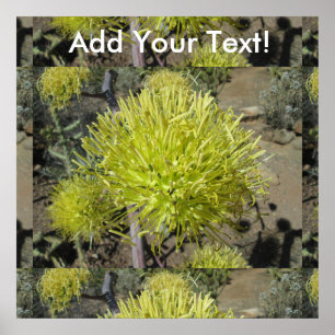 Agave Giant Flower Cluster Poster