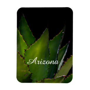 Agave glow Arizona Magnet