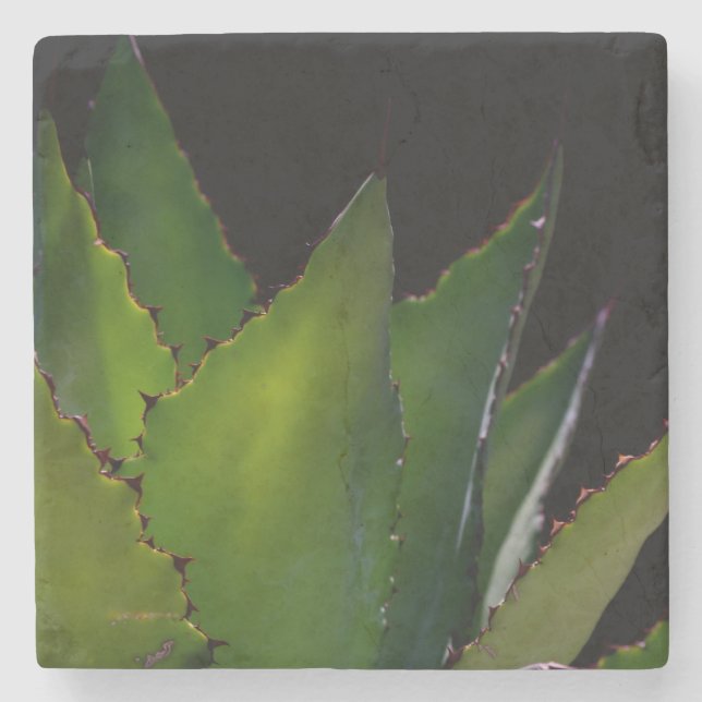 Agave glow stone coaster (Front)