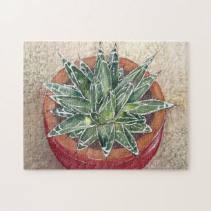 Agave in pot jigsaw puzzle
