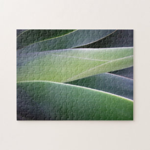 Agave Leaves Jigsaw Puzzle