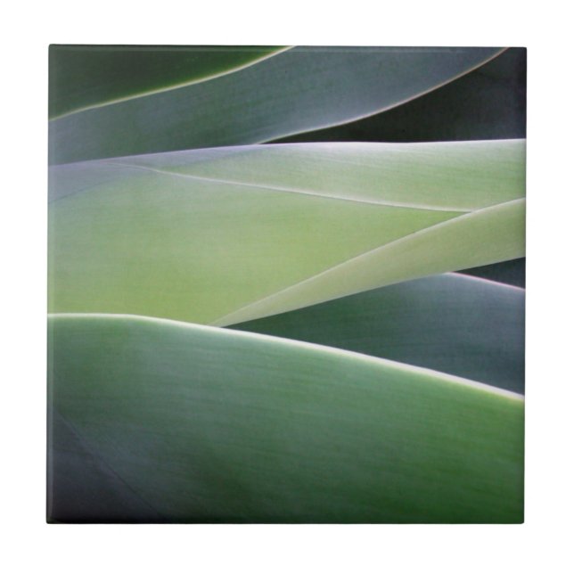 Agave Leaves Tile (Front)