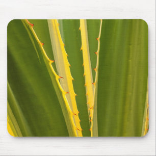 Agave Plant Abstract Mouse Mat