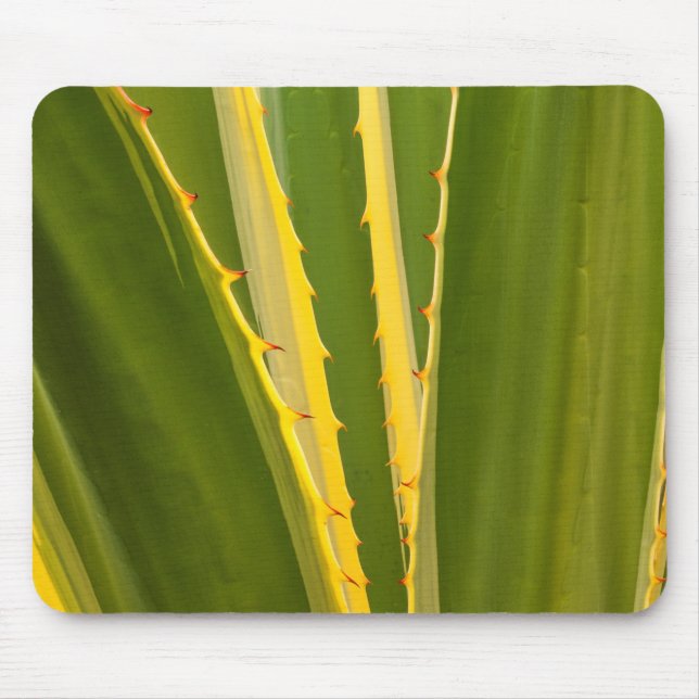 Agave Plant Abstract Mouse Mat (Front)
