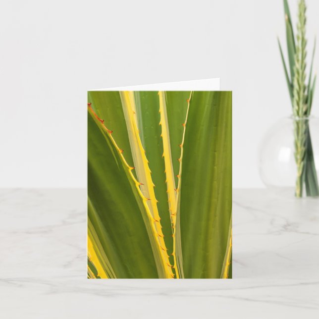 Agave Plant Abstract Note Card (Front)