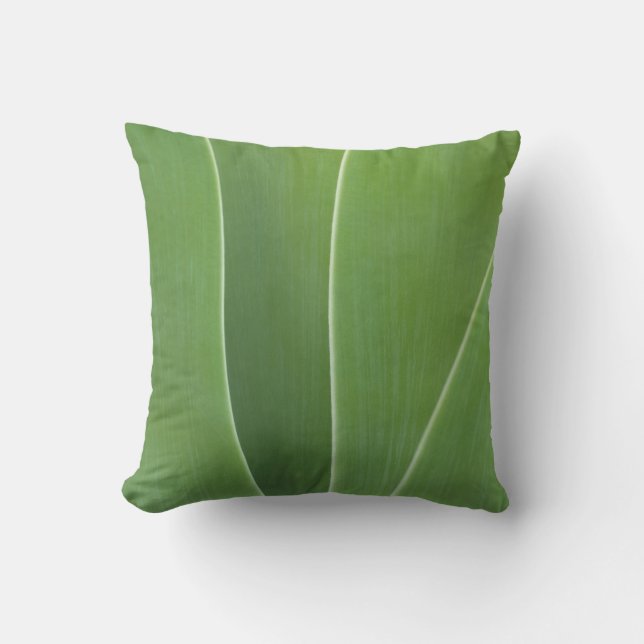 Agave Plant Close Up Cushion (Front)