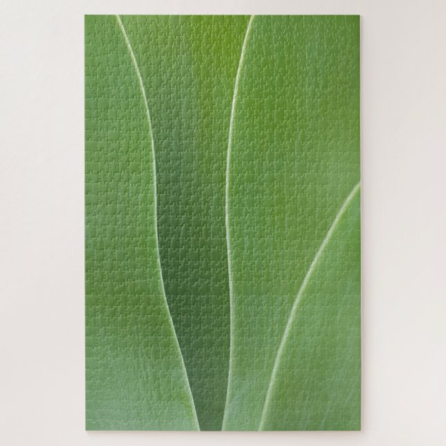 Agave Plant Close Up Jigsaw Puzzle (Vertical)