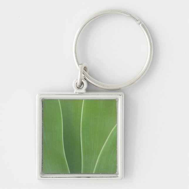 Agave Plant Close Up Key Ring (Front)