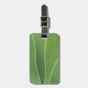 Agave Plant Close Up Luggage Tag