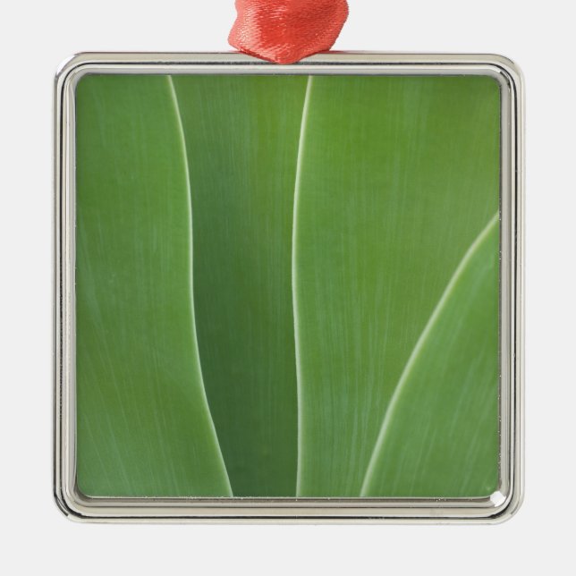 Agave Plant Close Up Metal Tree Decoration (Front)