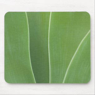 Agave Plant Close Up Mouse Mat