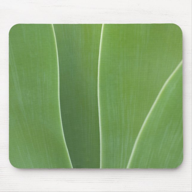 Agave Plant Close Up Mouse Mat (Front)