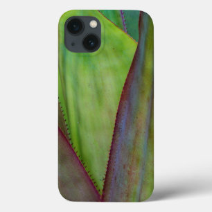 Agave Plant Detail iPhone 13 Case