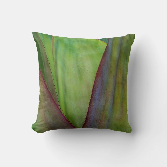 Agave Plant Detail Cushion (Front)