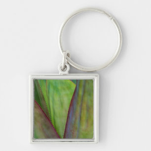 Agave Plant Detail Key Ring