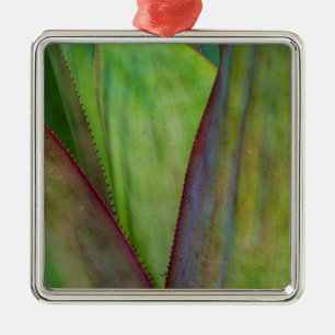 Agave Plant Detail Metal Tree Decoration