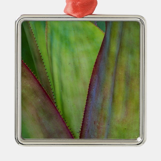 Agave Plant Detail Metal Tree Decoration (Front)