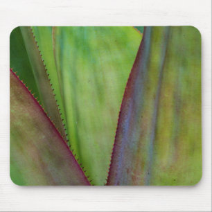 Agave Plant Detail Mouse Mat