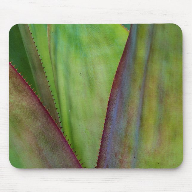 Agave Plant Detail Mouse Mat (Front)